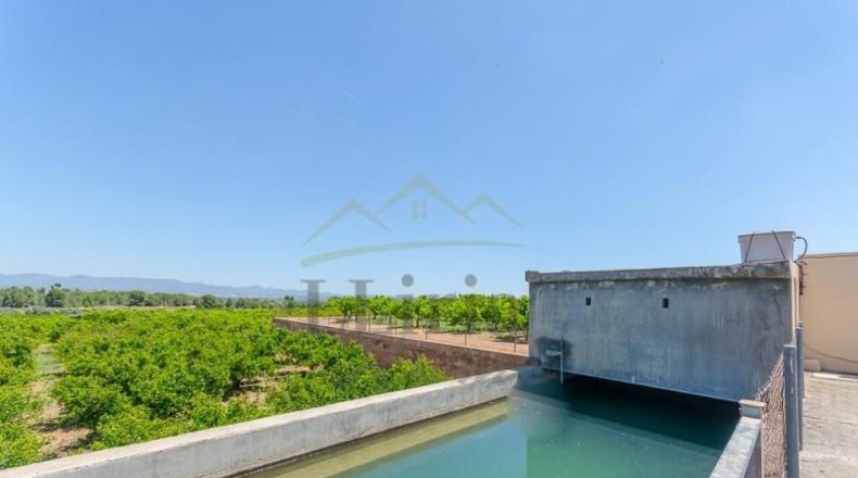 Valencia - Villamarchante - 31353m2