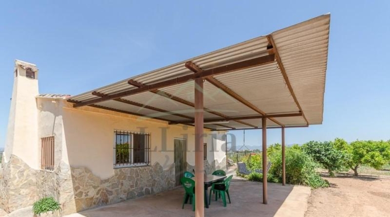 Valencia - Villamarchante - 31353m2