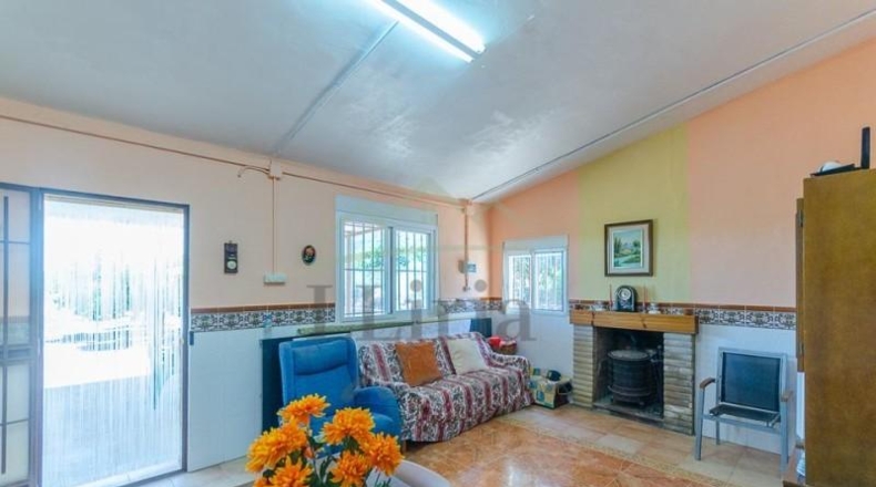 Valencia - Villamarchante - 31353m2