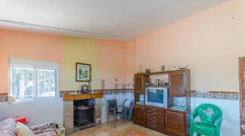 Valencia - Villamarchante - 31353m2