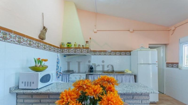 Valencia - Villamarchante - 31353m2