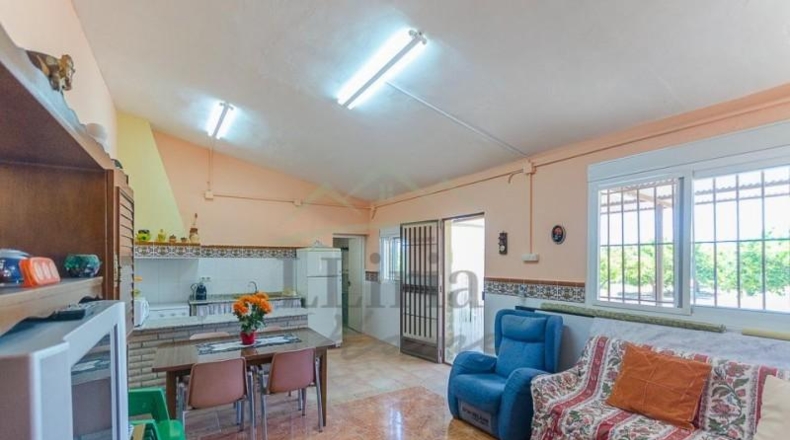 Valencia - Villamarchante - 31353m2