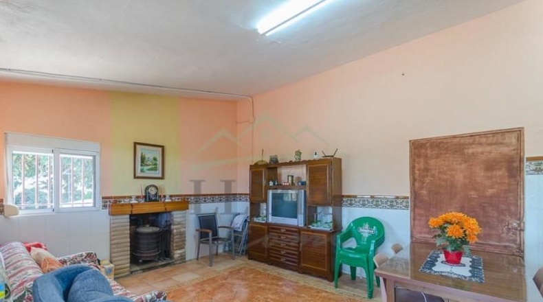 Valencia - Villamarchante - 31353m2