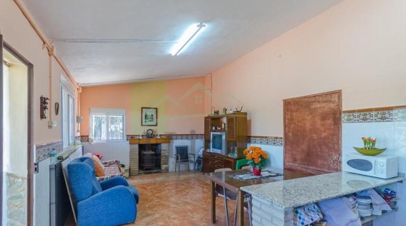 Valencia - Villamarchante - 31353m2