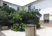 Detached villa with land for sale on España, Pozoblanco, ref: TR412390 photo