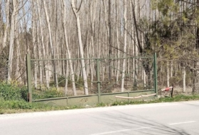 Foto 7