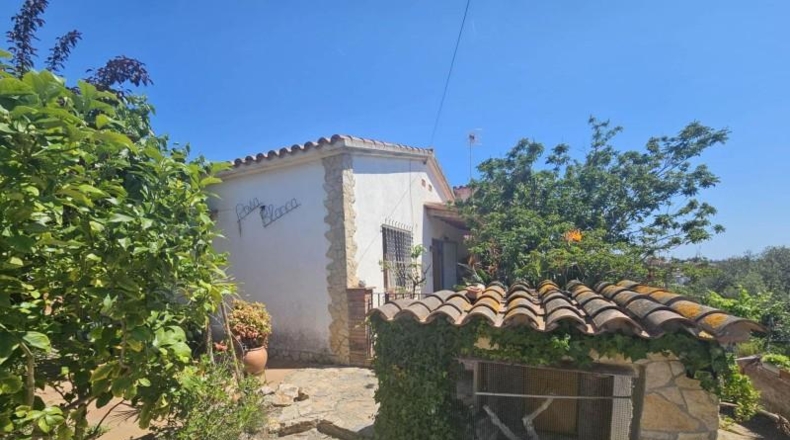 Barcelona - Malgrat de Mar - 540m2