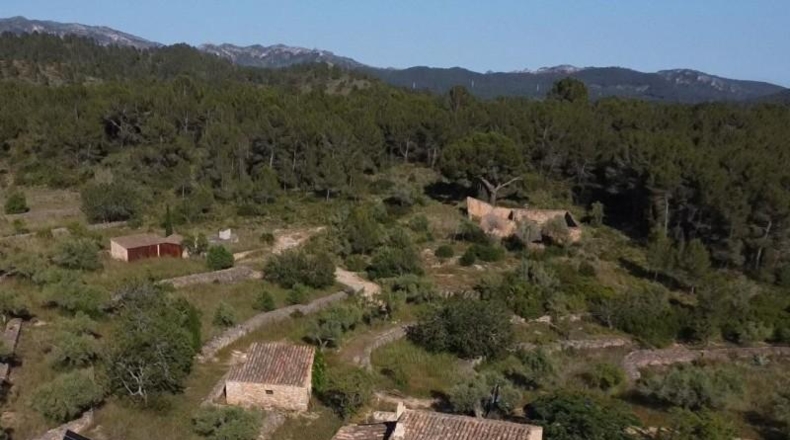 Tarragona - Tivissa - 30000m2