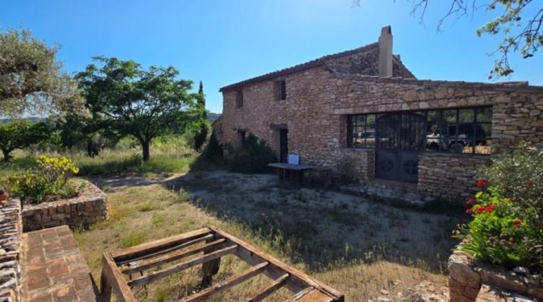 Tarragona - Tivissa - 30000m2