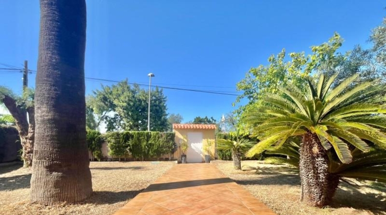 Alicante - Torrevieja - 180m2