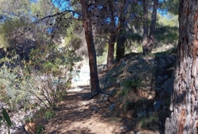 Foto 13