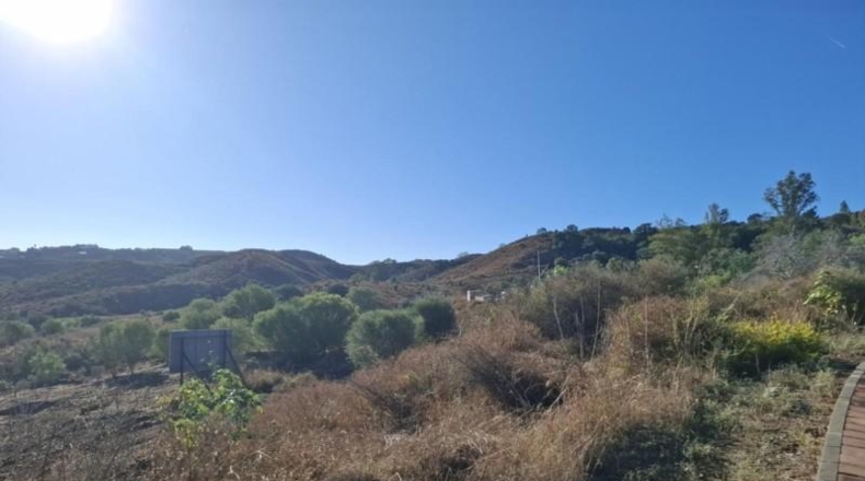 Málaga - Campo-Mijas - 1203m2