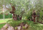 Casa de pueblo en venta en la España, Córdoba, ref: TR282802 foto