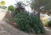 Detached villa with land for sale on España, Sant Fost de Campsentelles, ref: TR403512 photo