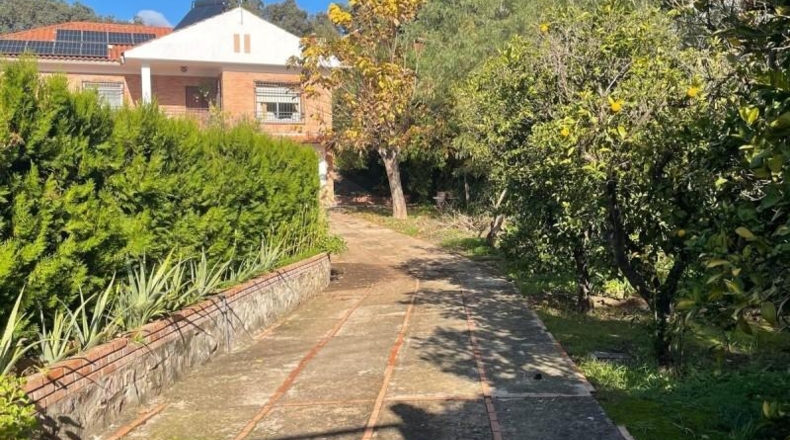 Córdoba - Córdoba - 1250m2