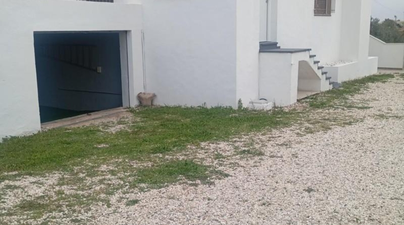Alicante - San Vicente del Raspeig - 6000m2