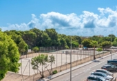 Detached villa with land for sale on España, Pilar de la Horadada, ref: TR249095 photo