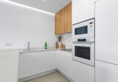 Detached villa with land for sale on España, Pilar de la Horadada, ref: TR249095 photo