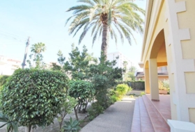Elche 862&nbsp;m²