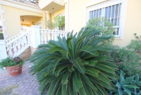 Elche 862&nbsp;m²
