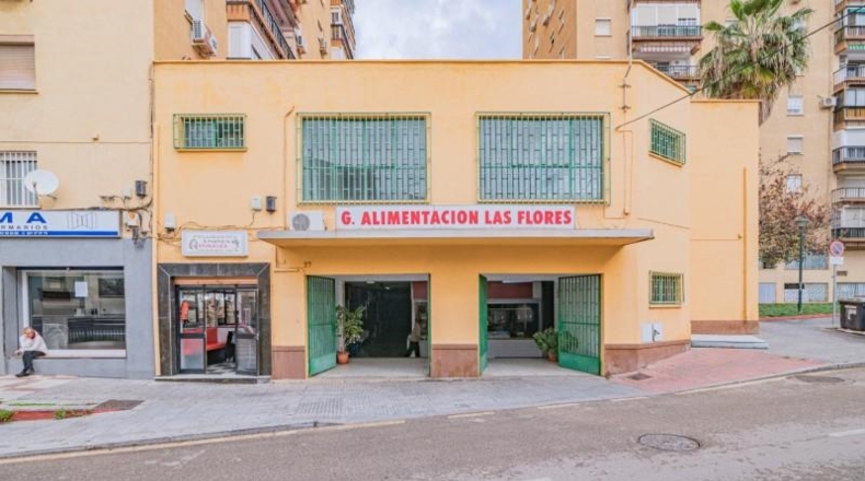 Málaga - Málaga - 582m2