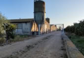 Granja en venta en la N-238 km3, Vinaròs, ref: TR412460 foto