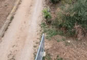 Granja en venta en la N-238 km3, Vinaròs, ref: TR412460 foto