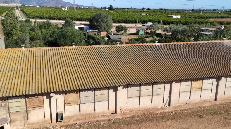 Castellón - Vinaròs - 19350m2
