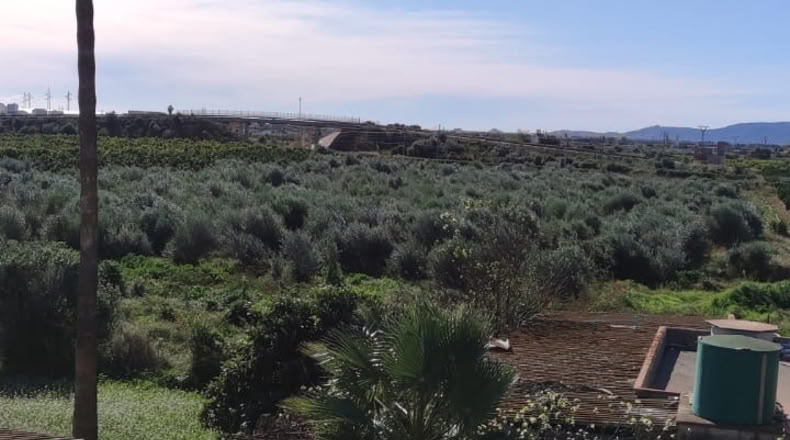 Castellón - Vinaròs - 19350m2