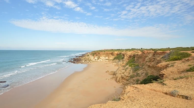 Cádiz - Conil de la Frontera - 400m2