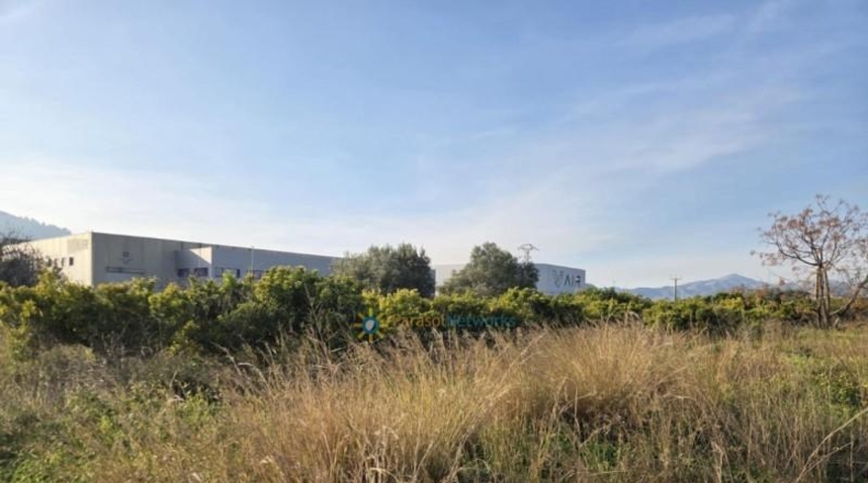 Valencia - Rafelcofer - 994m2