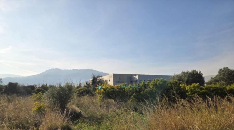 Valencia - Rafelcofer - 994m2