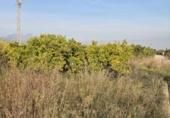 Terreno no urbanizable en venta en la España, Rafelcofer, ref: TR394242 foto