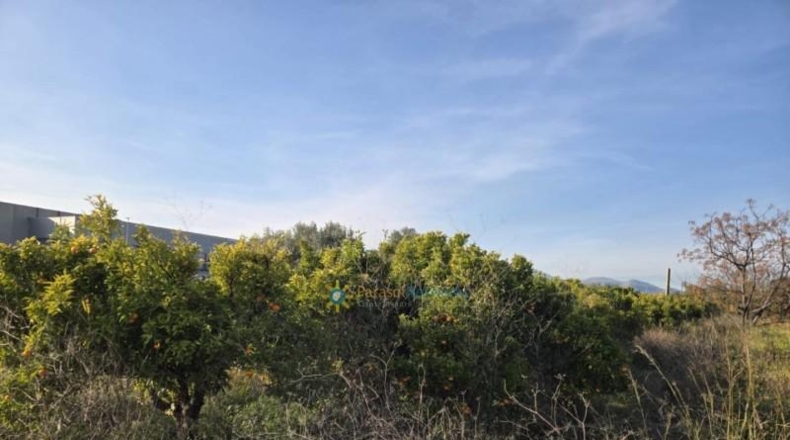 Valencia - Rafelcofer - 994m2