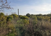 Terreno no urbanizable en venta en la España, Rafelcofer, ref: TR394242 foto