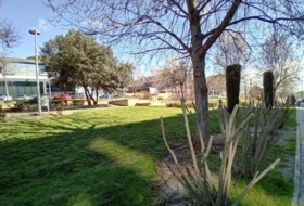 Foto 8
