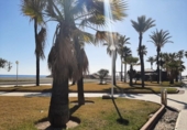 Urban land for sale on España, Media Legua, ref: TR257856 photo