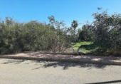 Urban land for sale on España, Media Legua, ref: TR257856 photo