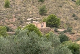 Foto 15