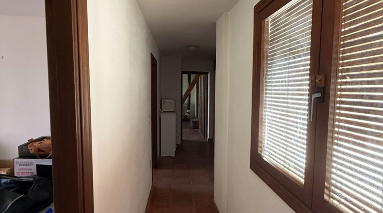 Granada - Chite - 2000m2