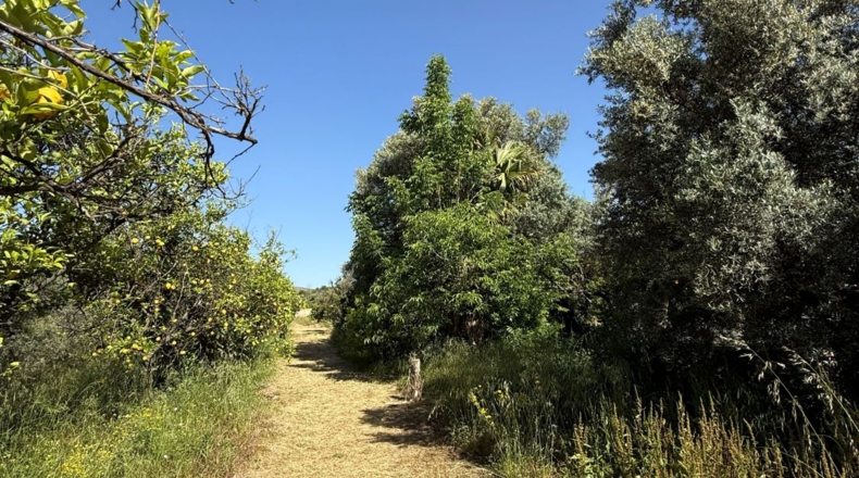 Granada - Chite - 2000m2