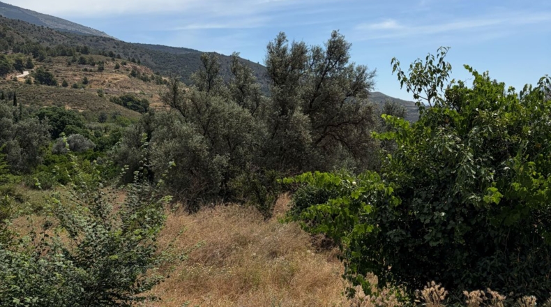 Granada - Béznar - 3835m2