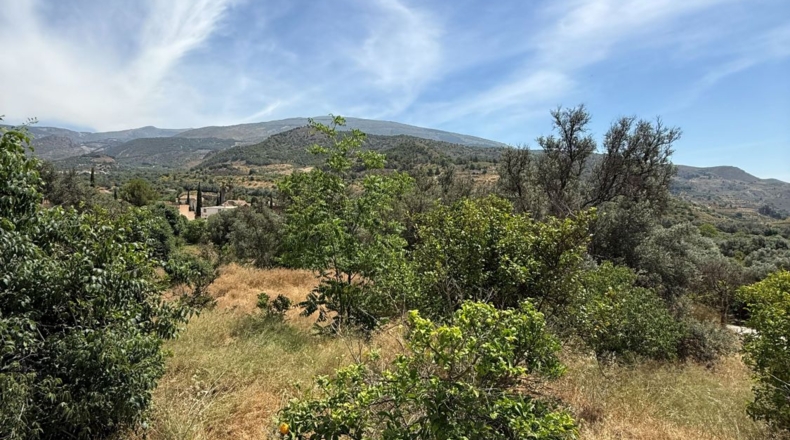 Granada - Béznar - 3835m2