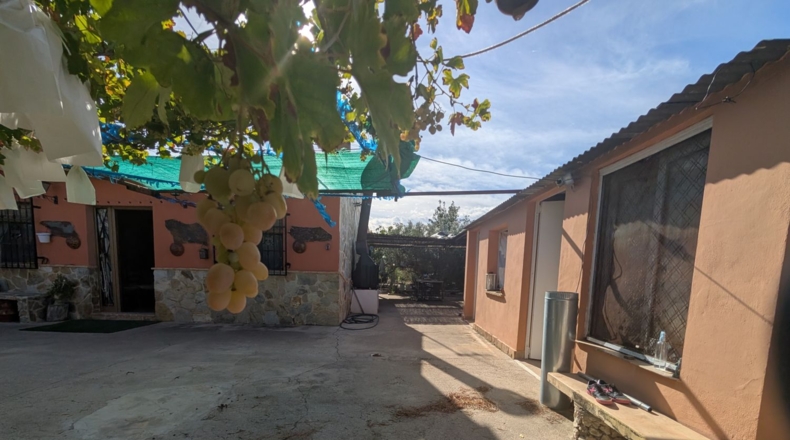 Murcia - Molina de Segura - 2700m2