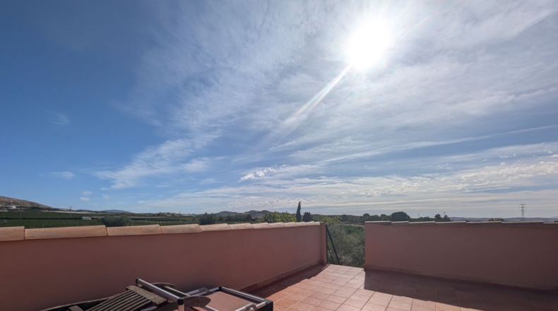 Murcia - Molina de Segura - 2700m2