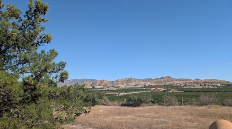 Murcia - Molina de Segura - 2700m2