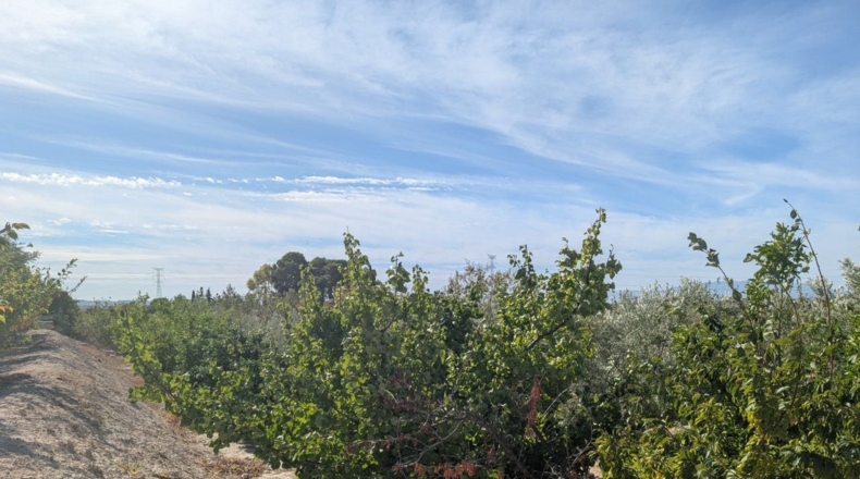 Murcia - Molina de Segura - 2700m2