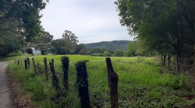 Cantabria - Escalante - 10225m2
