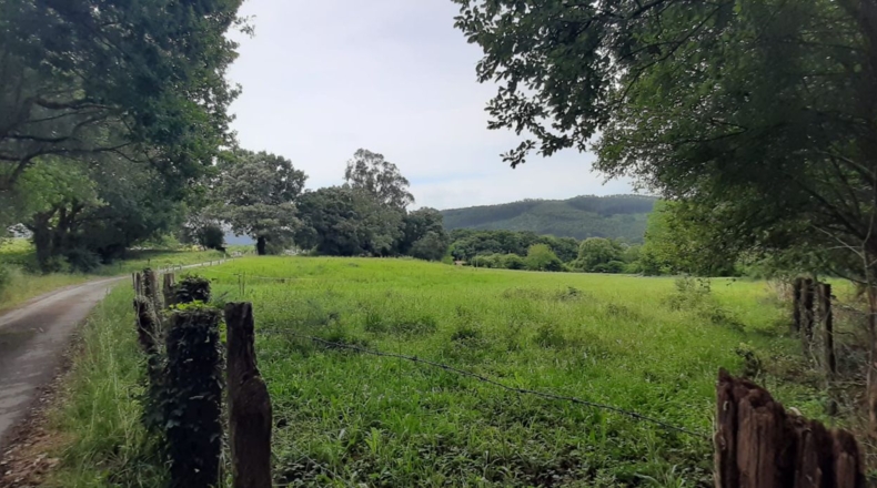 Cantabria - Escalante - 10225m2