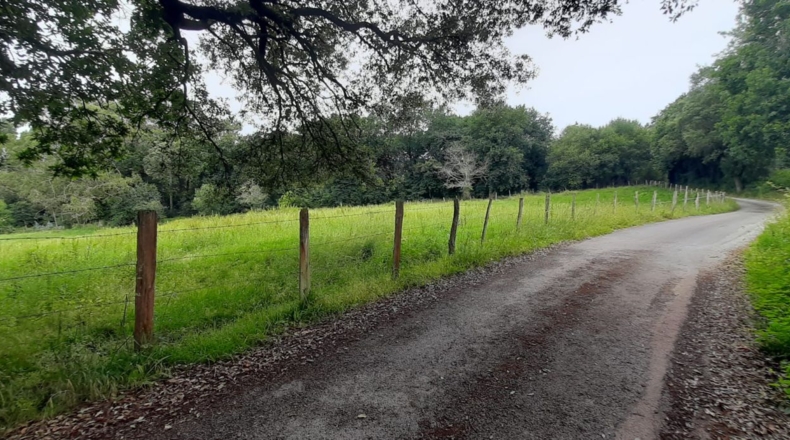 Cantabria - Escalante - 10225m2